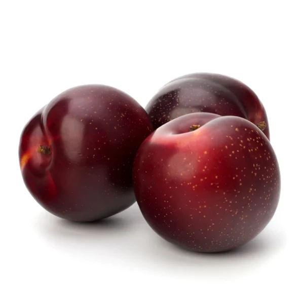 Plum