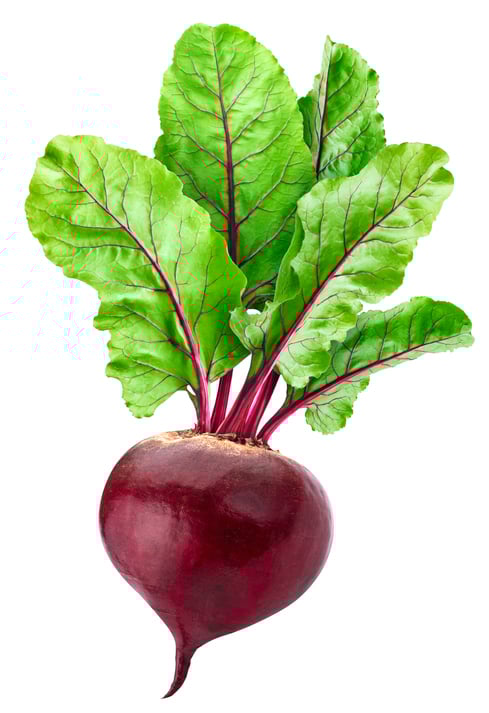 Beetroot